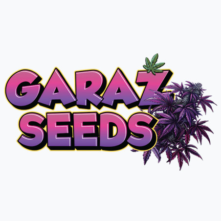 Garaż Seeds