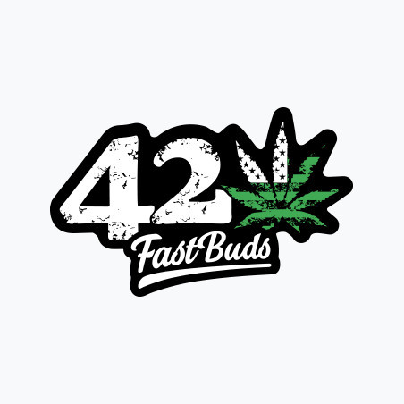 Fast Buds