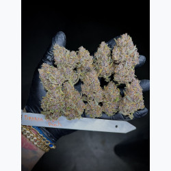 Banana Purple Punch Auto