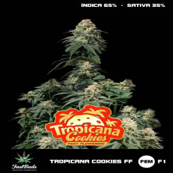 Tropicana Cookies FF