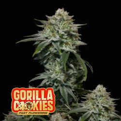 Gorilla Cookies FF