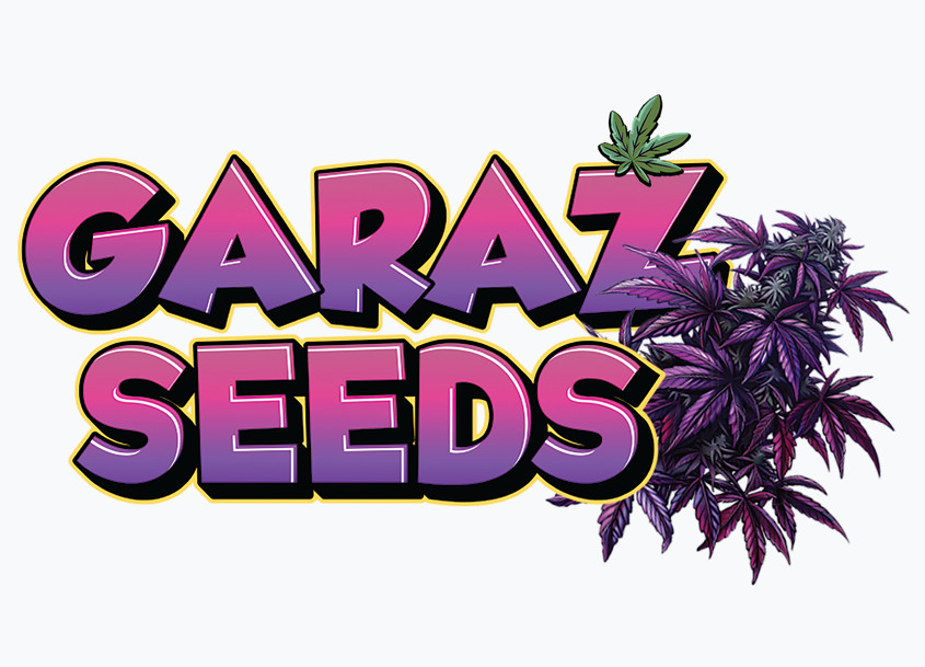 Garaż Seeds