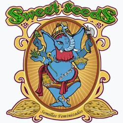 Sweet Seeds